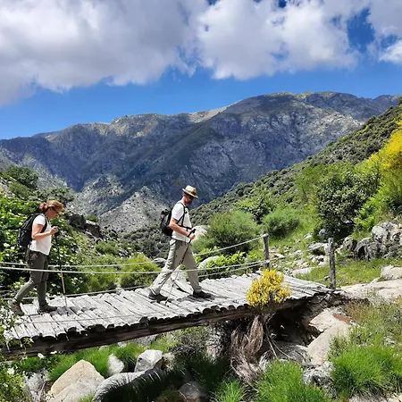 Rurales Entre Fuentes *