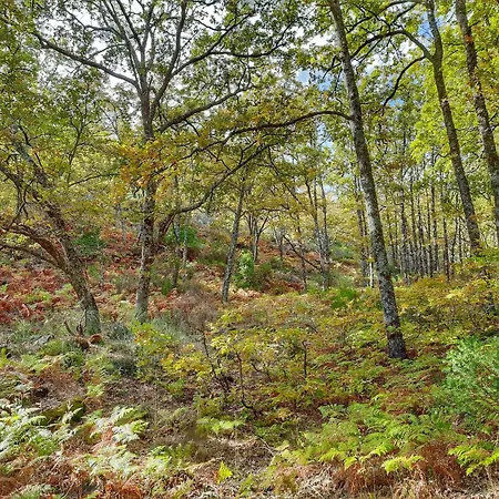 Rurales Entre Fuentes * Cuacos De Yuste
