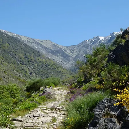 Rurales Entre Fuentes Apartment