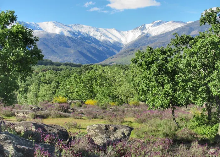 Apartment Rurales Entre Fuentes Cuacos De Yuste