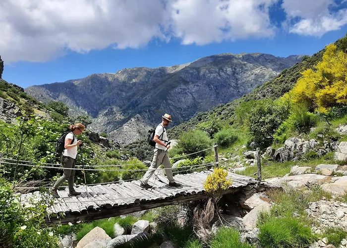 Rurales Entre Fuentes *