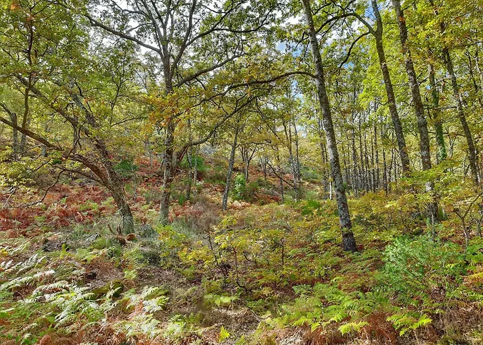 Rurales Entre Fuentes * Cuacos De Yuste