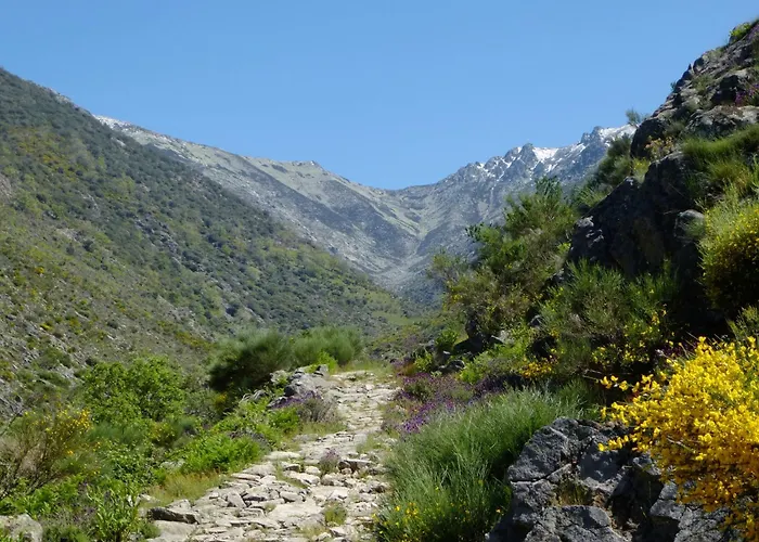 Rurales Entre Fuentes Apartment