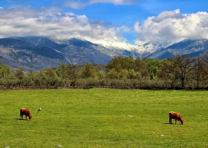 Rurales Entre Fuentes Cuacos De Yuste