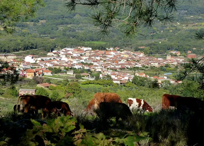 Rurales Entre Fuentes Apartment Cuacos De Yuste